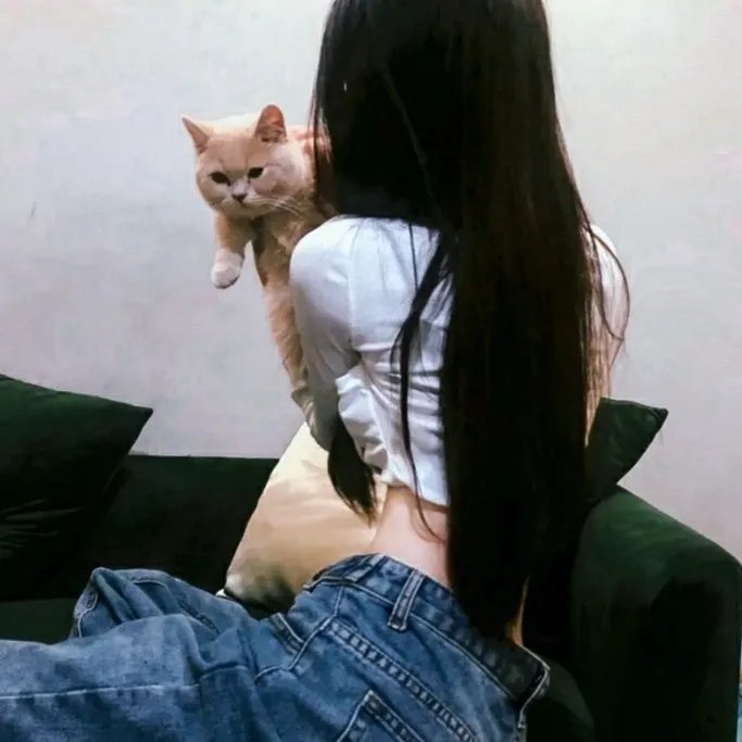 谎知真爱